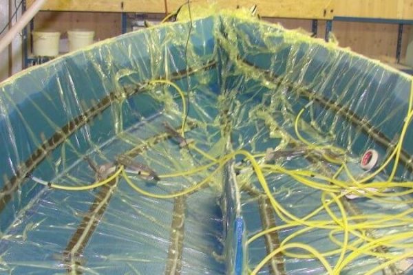 树脂真空导入成型