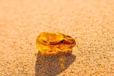 树脂干什么用的？