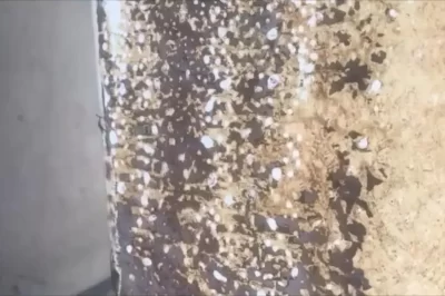 胶衣气泡/鼓泡问题的来源分析