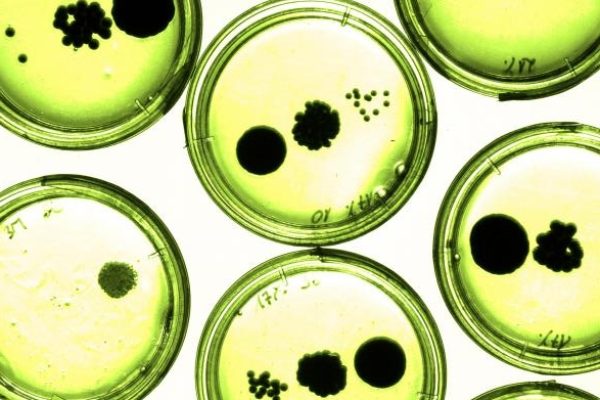 高分子树脂和聚酯树脂一样吗？