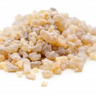 有哪些树脂产品类型（树脂产品的用途例子）