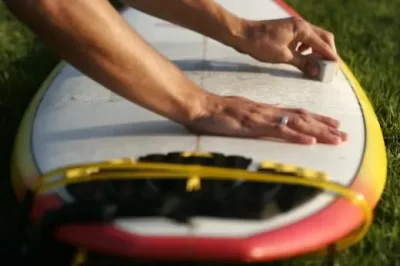 什么是巴西棕榈蜡（巴棕蜡的作用与用途说明）