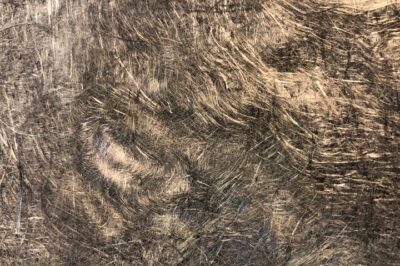 随着碳纤维需求的增加，回收能否填补空白？