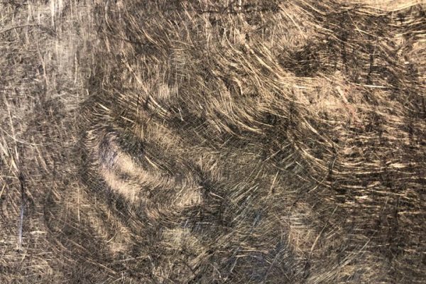 随着碳纤维需求的增加，回收能否填补空白？