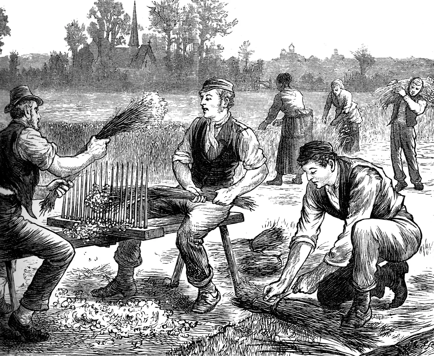 农业工人质问亚麻，约。 1880