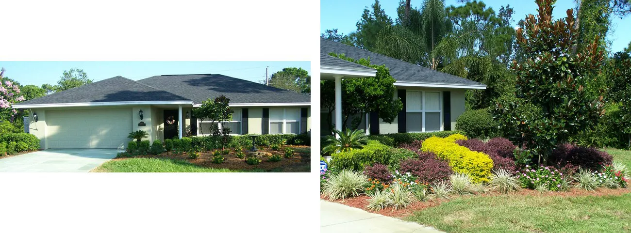 黑色屋顶和五颜六色的风景的房子的两个视图
