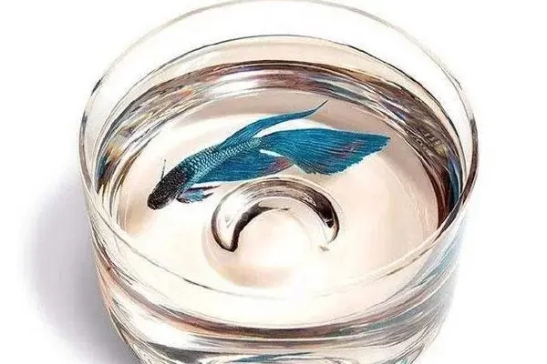 什么是树脂更安全的替代品？