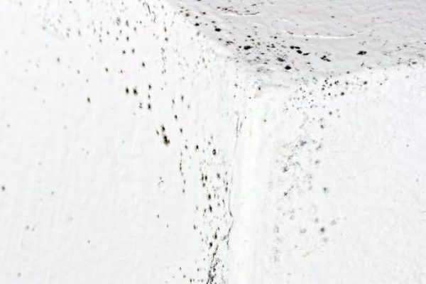 什么是地下室环氧树脂？