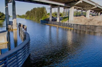 海洋处理木材的快速概述
