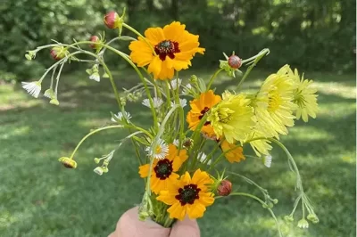 你能把鲜花放在树脂里吗？查看结果