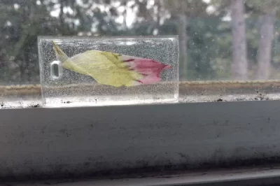 固化树脂中有气泡