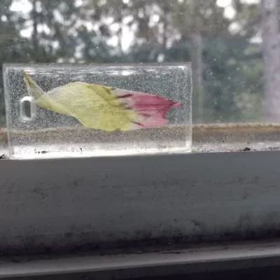 固化树脂中有气泡