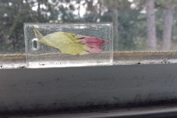 固化树脂中有气泡