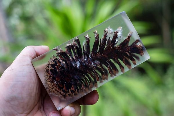 正确混合环氧树脂（12个实用环氧树脂混合的方法技巧）