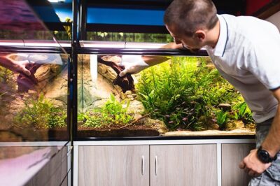 鱼缸里哪些材料可以用环氧树脂密封？