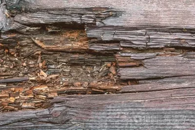 何时使用木材环氧树脂填料？