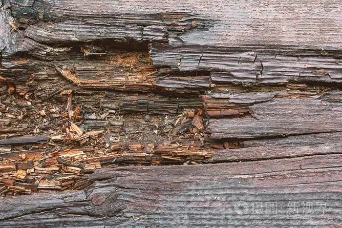 何时使用木材环氧树脂填料？