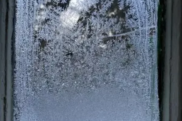 如何清除窗户上的胶状和粘性物质？