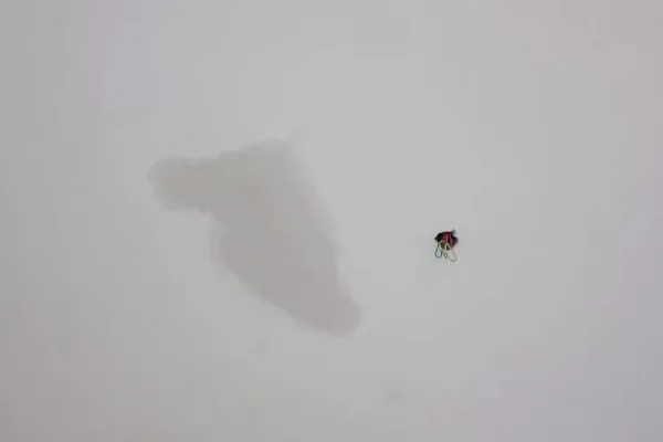 如何在粉刷后修复干墙接缝处的墙壁隆起？