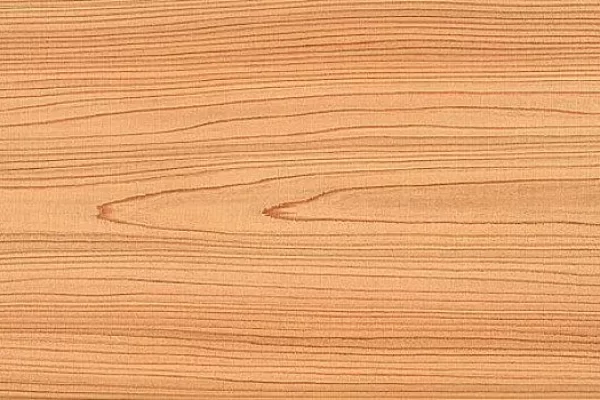 如何染色雪松摇壁板？