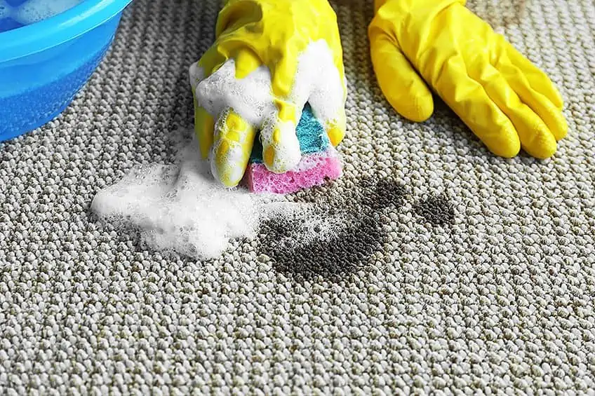 如何从地毯上去除丙烯酸涂料：分步过程