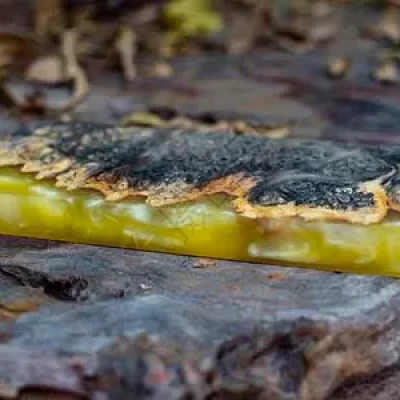 在木材上使用哪种环氧树脂最好？