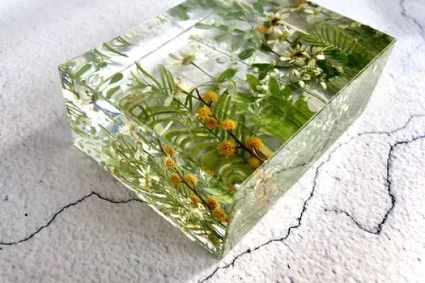 用树脂密封照片怎么做？