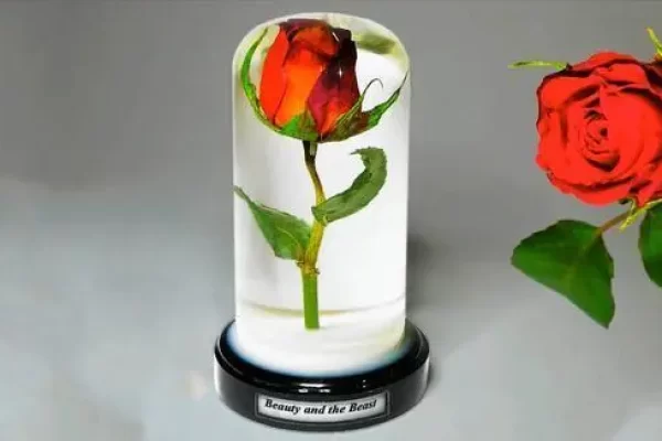 如何在树脂中保存新鲜玫瑰？
