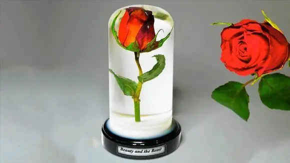 如何在树脂中保存新鲜玫瑰？