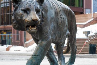 树脂产品有哪些不同类型？