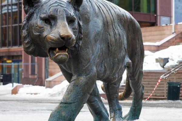 树脂产品有哪些不同类型？