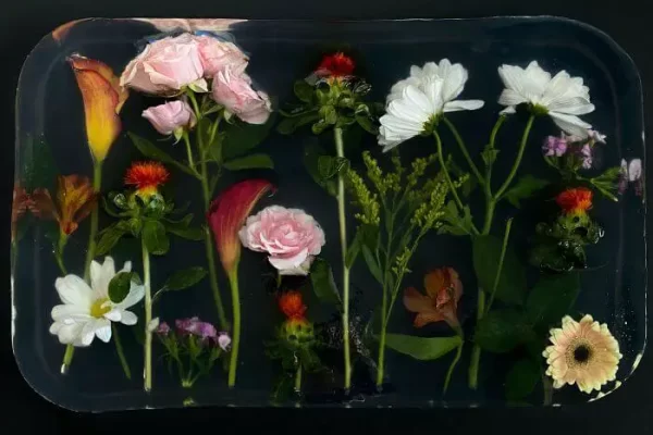 漂浮在环氧树脂中