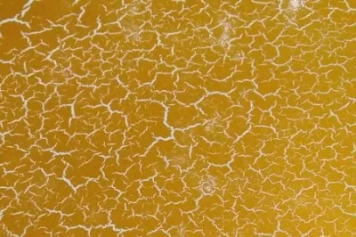 什么是裂纹漆？