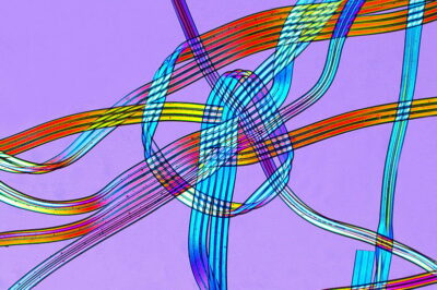 弹性纤维和氨纶的区别是什么？