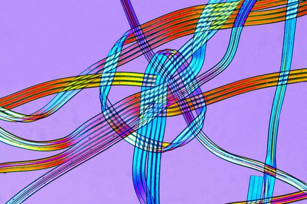 弹性纤维和氨纶的区别是什么？