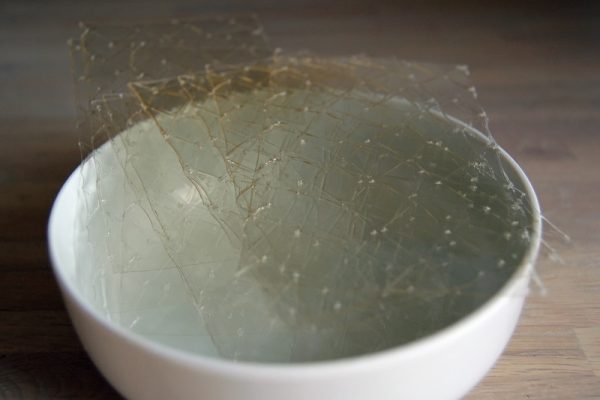 胶原蛋白和明胶有什么区别呢？