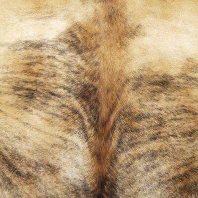 什么是隐藏胶——皮胶？