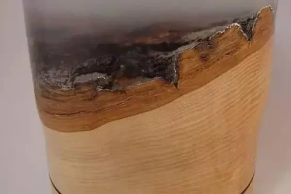 你可以在户外的木头上使用环氧树脂吗？