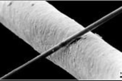 碳纤维为什么结实？强的？