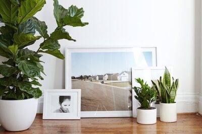 玻璃纤维花盆的优缺点有哪些？