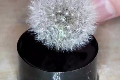 你能重复使用搅拌棒、钻头或水桶吗？