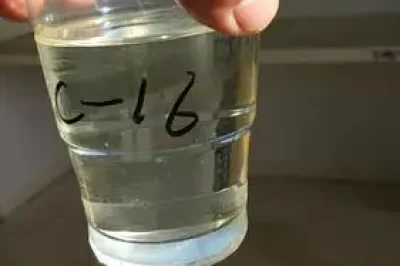 什么是油树脂？