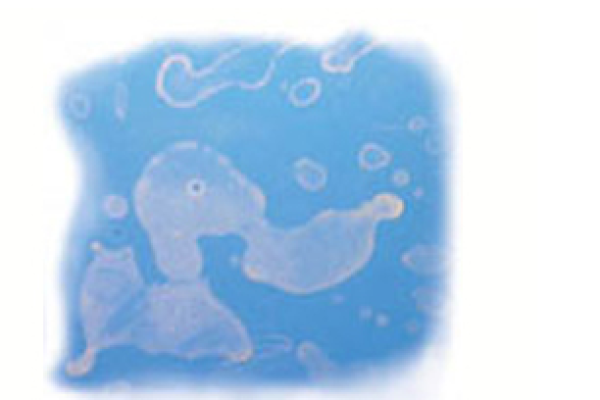 环氧树脂胺腮红故障排除