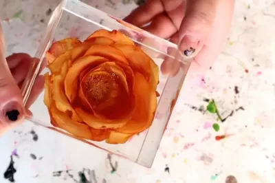 什么是胺腮红，它有害吗？我该如何摆脱它？