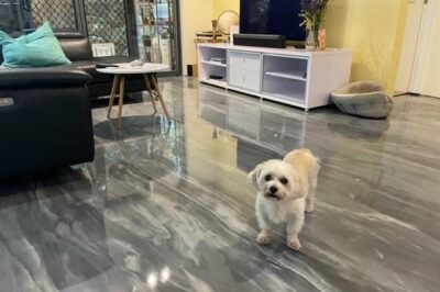 在你的房子里铺环氧地坪会增加它的价值吗？