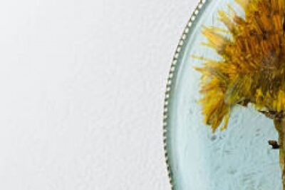 环氧树脂铸就美丽的花朵