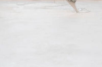 防水的 5 大方法和特点