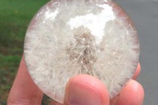 树脂会变黄吗？