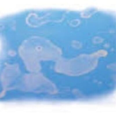 不要让树脂胺腮红毁了你地板的外观