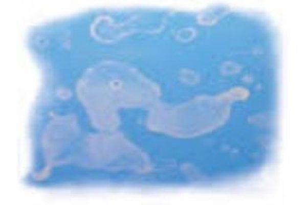 不要让树脂胺腮红毁了你地板的外观